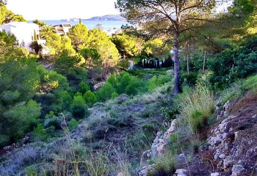 Land - Sale - Jávea - Xàbia - RO--54458