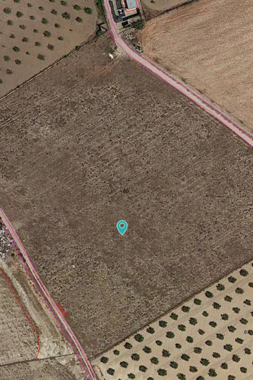 Land - Sale - Jumilla - Cañada del Trigo
