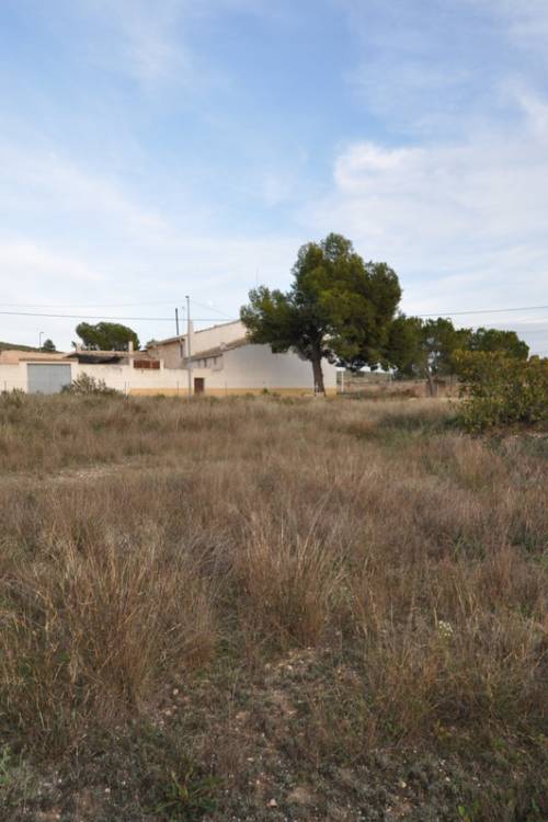 Land - Sale - Jumilla - Cañada del Trigo