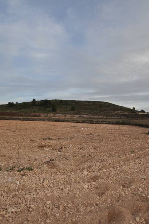 Land - Sale - Jumilla - Cañada del Trigo