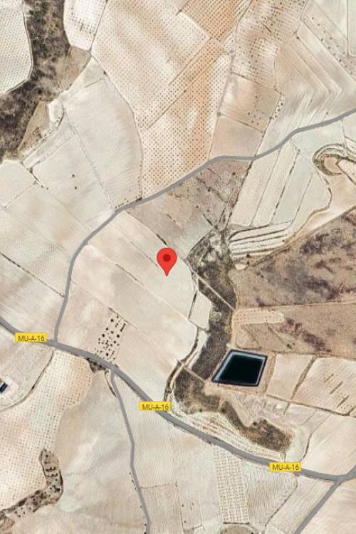 Land - Sale - Jumilla - Jumilla Centro