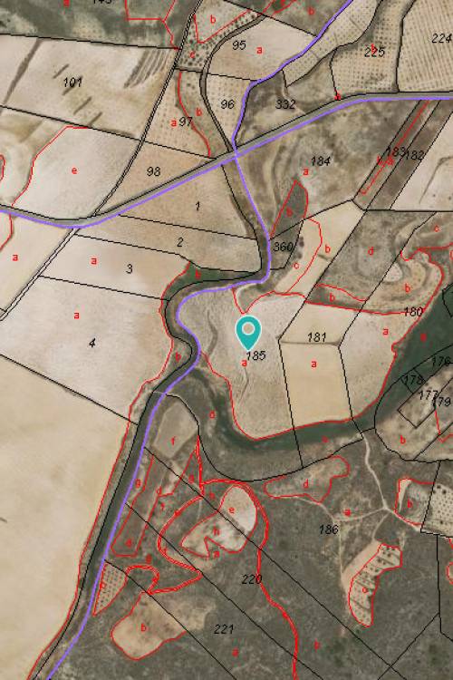 Land - Sale - Jumilla - Jumilla Centro