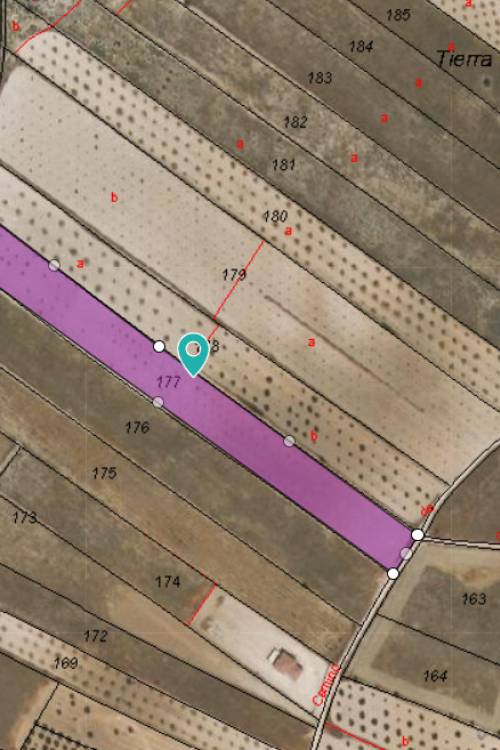 Land - Sale - Jumilla - Jumilla Centro