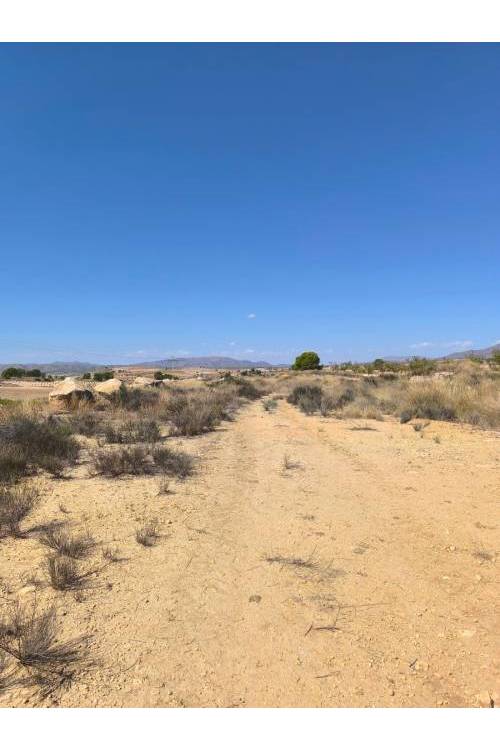 Land - Sale - Jumilla - Jumilla Centro