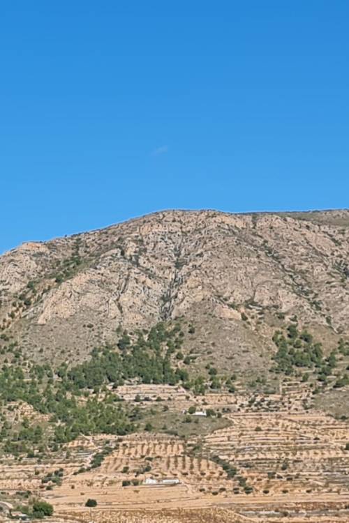 Land - Sale - La Romana - La Romana Centro