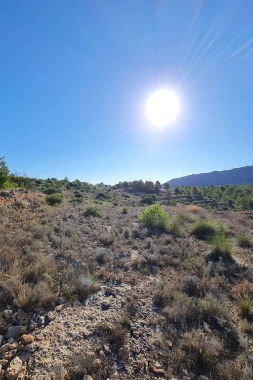 Land - Sale - La Romana - La Romana Centro