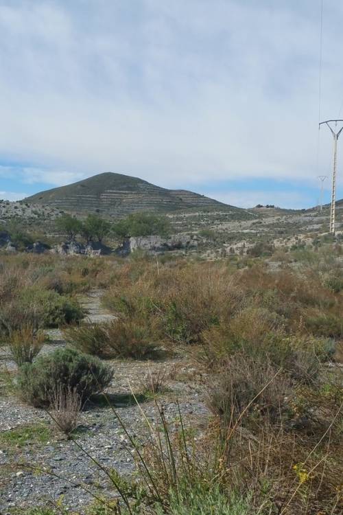 Land - Sale - Lorca - Lorca Centro