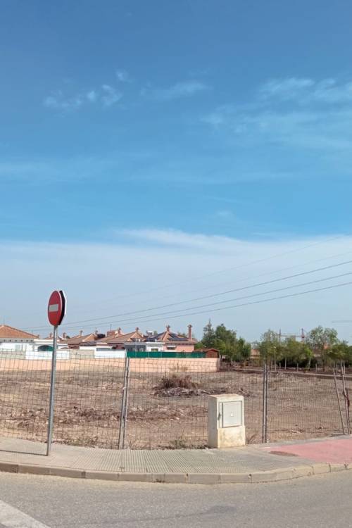 Land - Sale - Los Montesinos - Los Montesinos Centro