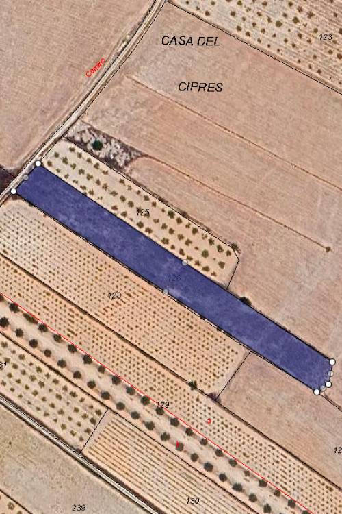 Land - Sale - Monóvar - Monòver - Casas del Señor