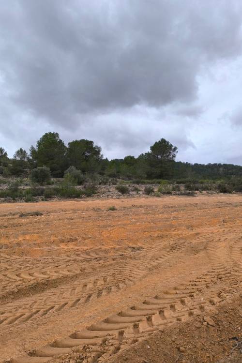 Land - Sale - Monóvar - Monòver - Chinorlet