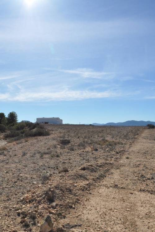 Land - Sale - Monóvar - Monòver - Monóvar - Monòver Centro