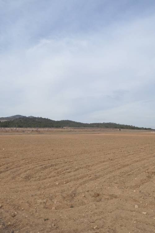 Land - Sale - Monóvar - Monòver - Monóvar - Monòver Centro