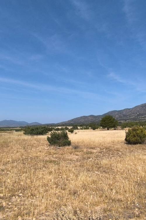 Land - Sale - Monóvar - Monòver - Monóvar - Monòver Centro