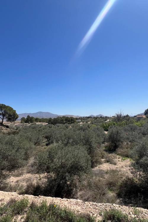 Land - Sale - Monóvar - Monòver - Monóvar - Monòver Centro