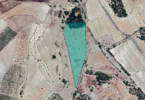 Land - Sale - Monóvar - Monòver - RO--30102