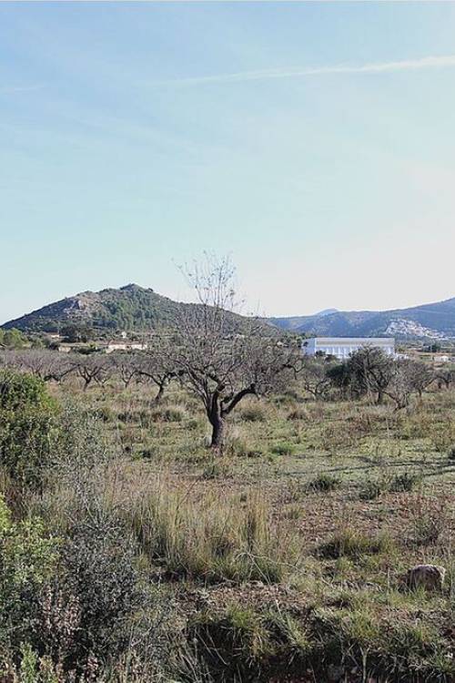 Land - Sale - Murla - Murla