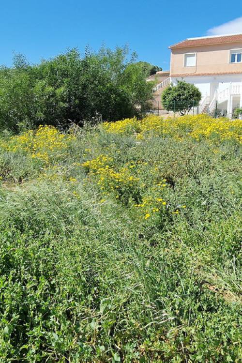 Land - Sale - Orihuela - Los Balcones