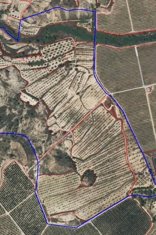 Land - Sale - Orihuela - Torremendo