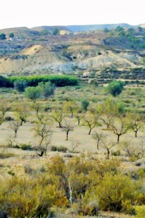 Land - Sale - Orihuela - Torremendo