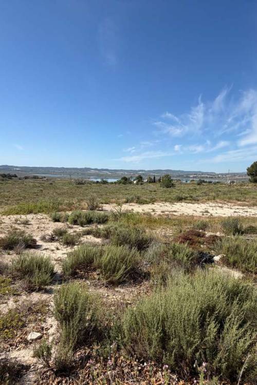 Land - Sale - Orihuela - Torremendo