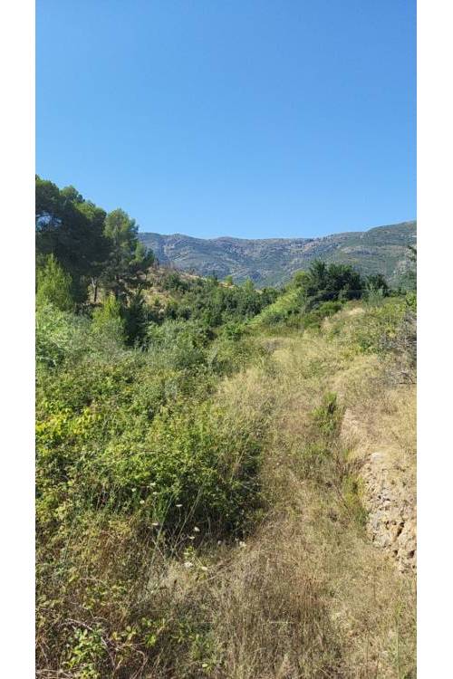 Land - Sale - Parcent - Parcent