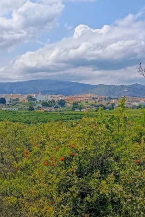 Land - Sale - Pego - Pego Centro