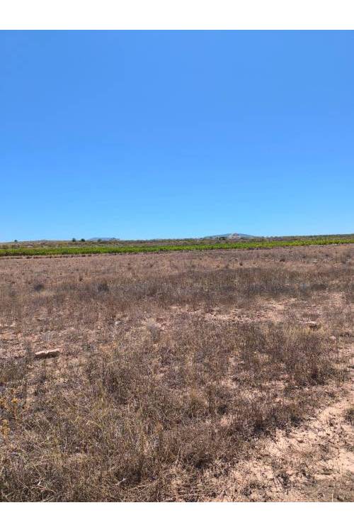 Land - Sale - Pinoso - Lel