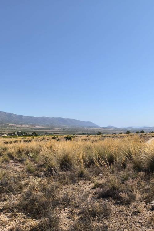 Land - Sale - Pinoso - Lel