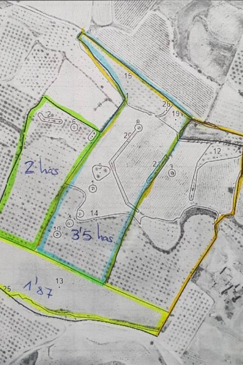 Land - Sale - Pinoso - Pinoso Centro