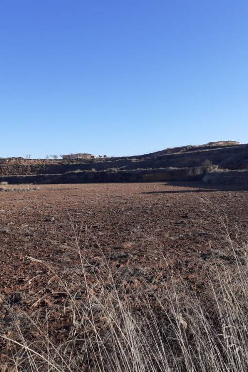 Land - Sale - Pinoso - Pinoso Centro