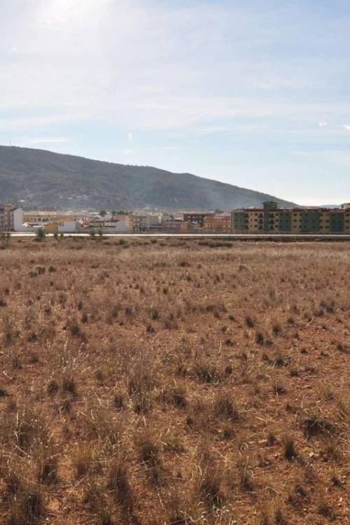 Land - Sale - Pinoso - Pinoso Centro