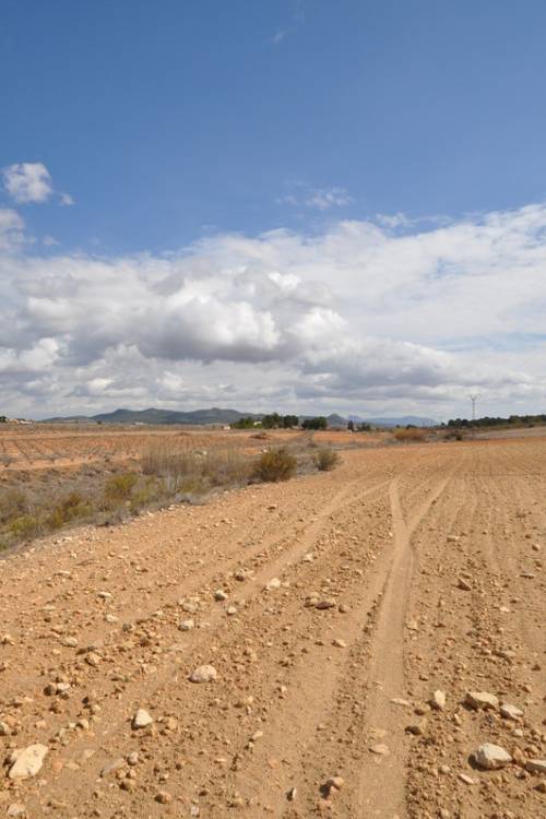 Land - Sale - Pinoso - Pinoso Centro