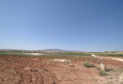 Land - Sale - Pinoso - Pinoso Centro