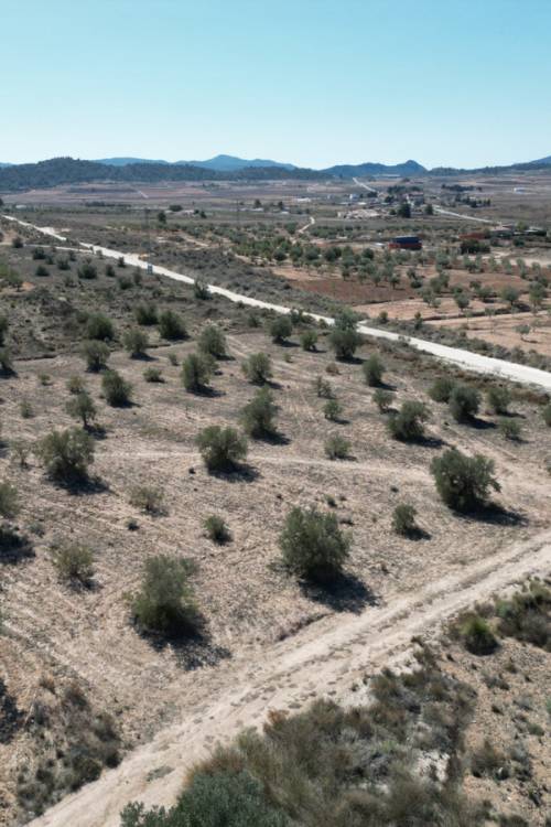 Land - Sale - Pinoso - Pinoso Centro