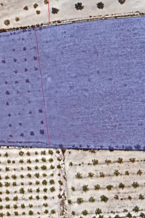 Land - Sale - Pinoso - Pinoso Centro