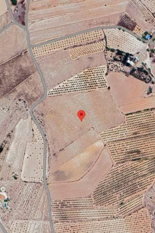 Land - Sale - Pinoso - Pinoso Centro