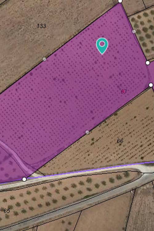 Land - Sale - Pinoso - Pinoso Centro