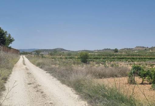 Land - Sale - Pinoso - Pinoso Centro