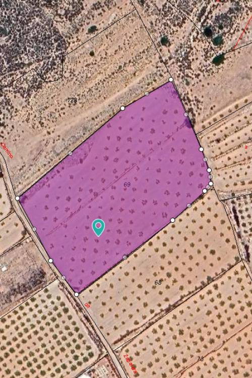 Land - Sale - Pinoso - Pinoso Centro