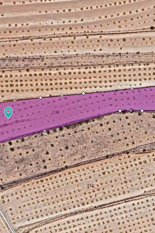 Land - Sale - Pinoso - Pinoso Centro