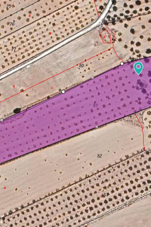 Land - Sale - Pinoso - Pinoso Centro