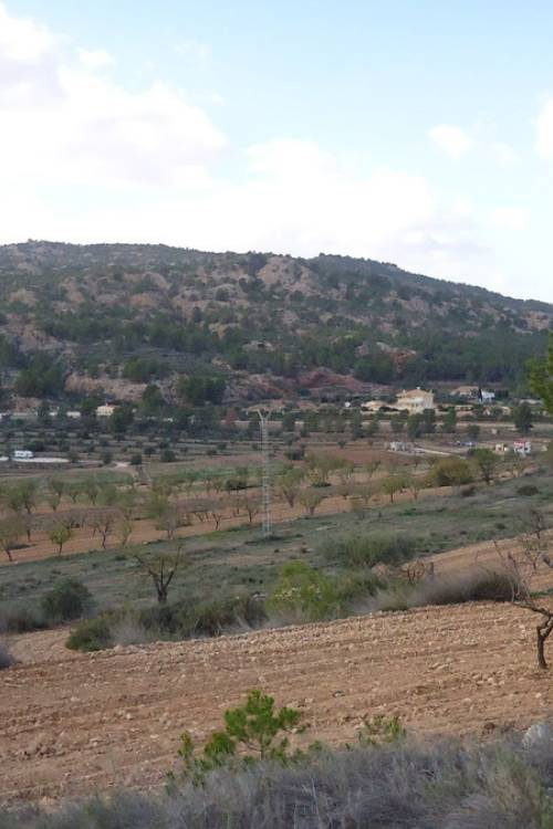 Land - Sale - Pinoso - Pinoso Centro