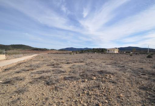 Land - Sale - Pinoso - Pinoso Centro