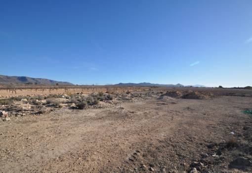 Land - Sale - Pinoso - Pinoso Centro