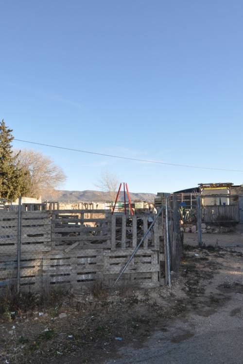 Land - Sale - Pinoso - Pinoso Centro