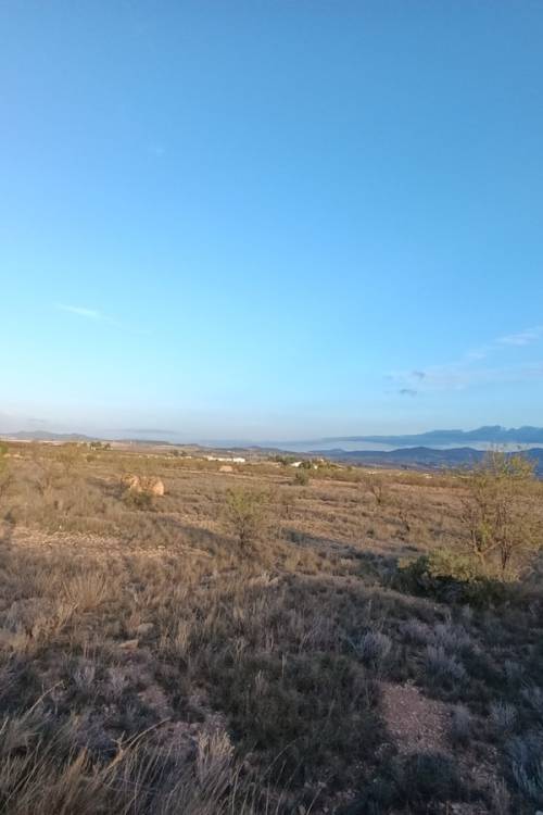 Land - Sale - Pinoso - Pinoso Centro