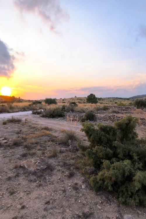 Land - Sale - Pinoso - Pinoso Centro