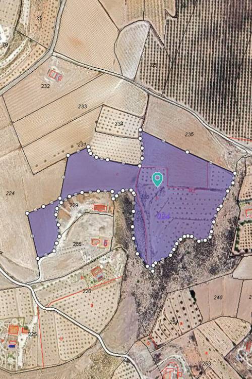 Land - Sale - Pinoso - Pinoso Centro