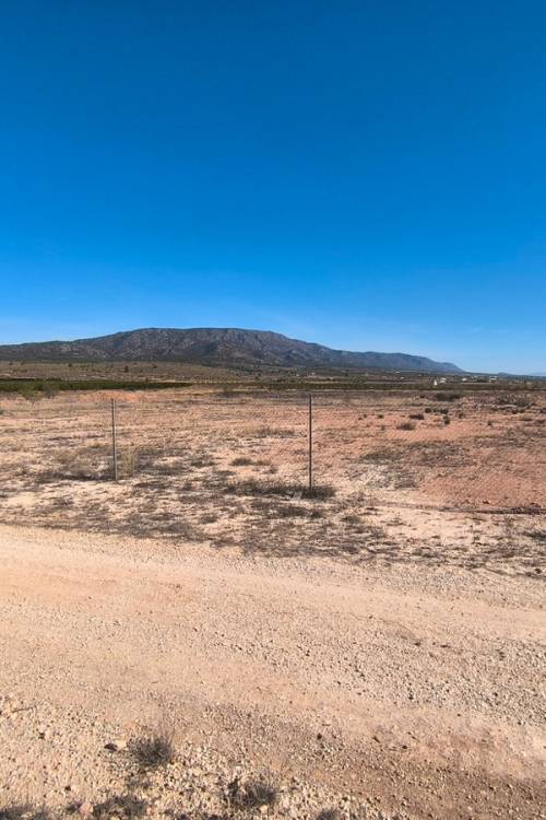 Land - Sale - Pinoso - Pinoso Centro