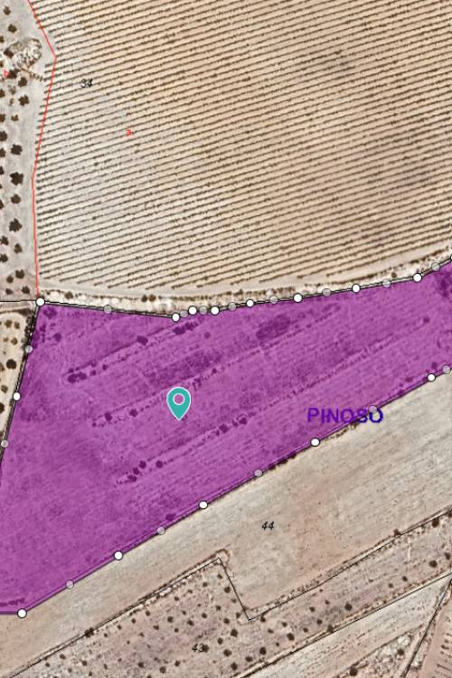 Land - Sale - Pinoso - Pinoso Centro